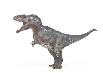 giganotosaurus is walking on white background side view © DM7