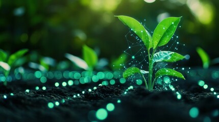 Green plant growing in soil with digital technology concepts, showcasing the fusion of nature and innovation in a vibrant green environment, symbolizing growth and sustainability