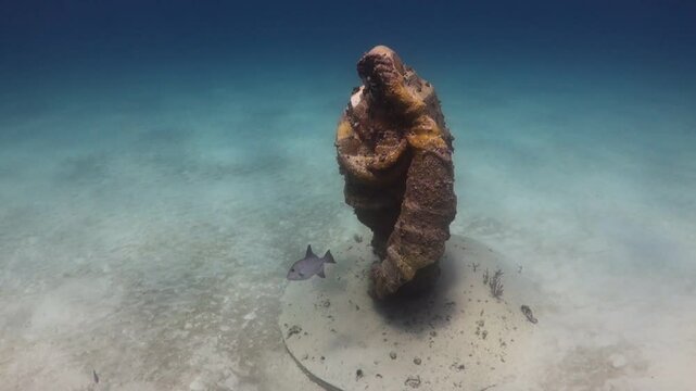escultura con forma de concha sumergida en el arrecife del mar caribe