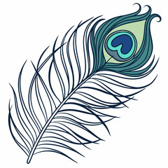 Obraz premium peacock feather