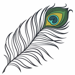 Obraz premium peacock feather
