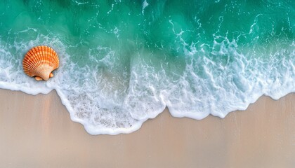 Fototapeta premium Seashell on Sandy Beach with Turquoise Ocean Wave