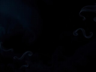 Abstract swirls of smoke dispersed against a black background, creating a mesmerizing and ethereal effect, ethereal, mysterious