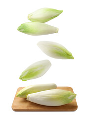 Fresh leaf chicory falling on white background