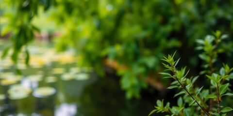 Blurred image of serene natural background featuring water and lush green plants, background, serene