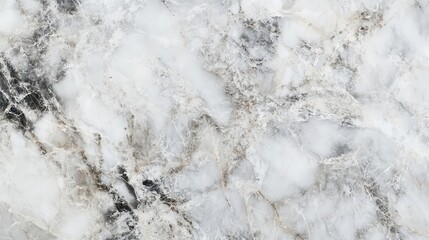 A close-up view of a textured marble surface with white and gray patterns.