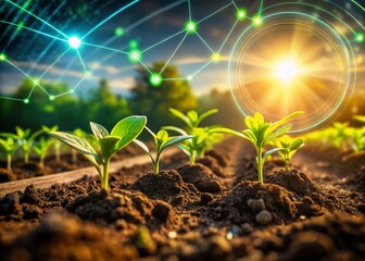 Futuristic Farming: Young Plants Thrive with Advanced Technology in Sunlight