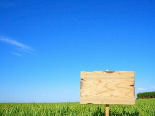 Outdoor poster mockup featuring a blank poster template displayed on a weathered wooden board against a background of green grass and blue sky, blue, rural, promotion