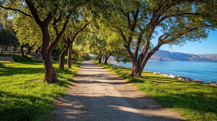 Fototapeta premium Scenic Lakeside Path with Lush Trees and Tranquil Waters: A Serene Morning Walk by the Lake