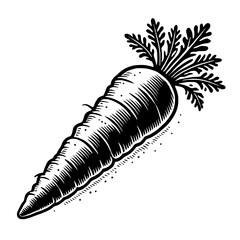 Vintage Carrot Illustration: A detailed, hand-drawn illustration of a carrot, rendered in classic black and white, perfect for adding a touch of rustic charm to your designs.