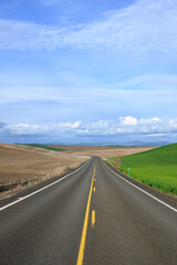Rural road in Eastern Washigton farmland with brown and green fields