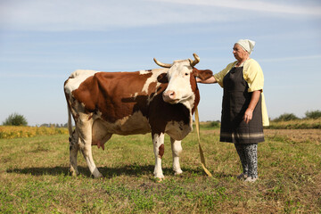 Senior woman with beautiful cow on pasture