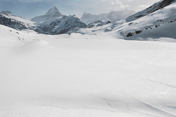 snow covered mountains