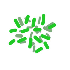 Acidophilus Probiotics 