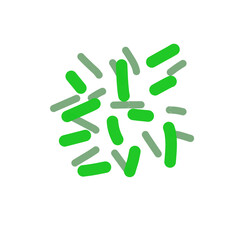 Acidophilus Probiotics 