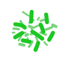 Acidophilus Probiotics 