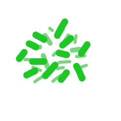 Acidophilus Probiotics 