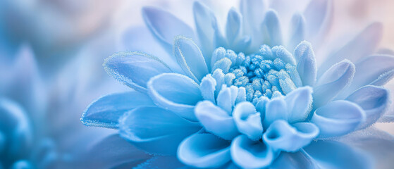 Obraz premium Frost Flower Macro Photography: Blue and White Surreal Bloom