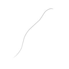 Fototapeta premium Single Ash Grey Hair 