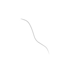 Single Ash Grey Hair 