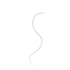 Single Ash Grey Hair 