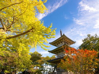 Fototapeta premium 秋の空