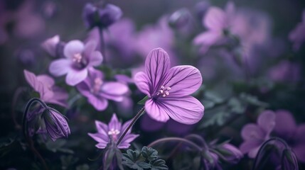 Enchanted Purple Meadow: A Serene Floral Tapestry
