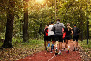 Group of people jogging together in park, back view. Space for text