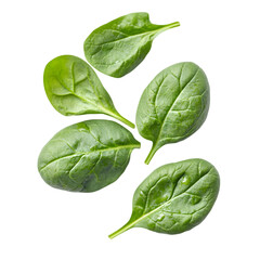 Fototapeta premium Fresh Spinach Leaves Green Salad Healthy Food Vegetarian Cooking Ingredient Nature O