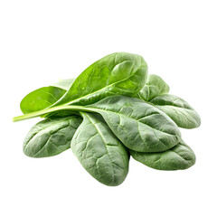 Fototapeta premium Fresh Spinach Leaves Green Vegetable Healthy Food Salad Ingredient Dietary Fiber Nut