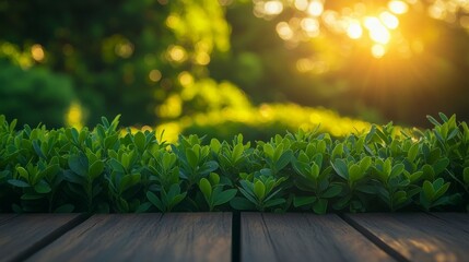 A beautiful spring nature background with lush green foliage and a wooden table, with sunlight filtering through and bokeh effects, ideal for creating natural, fresh design templates.