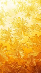 Frost Patterns Illuminated by Sunrise