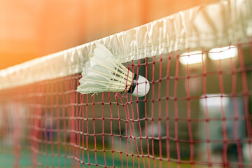 Badminton player hit shuttlecock so fast that it got stuck in the net, causing it to tear. Powerful...
