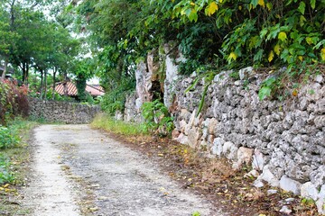 White sandy path lined by limestone walls with fresh green plants