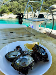 Fresh oysters served on a boat during a sunny day by the calm water