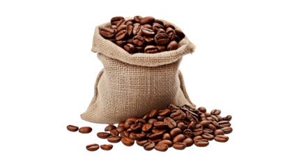 Brown coffee beans in a burlap sack or bag isolated on transparent background