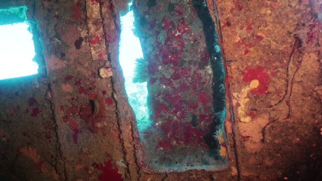 buceando y explorando el interior de un naufragio en el fondo del mar