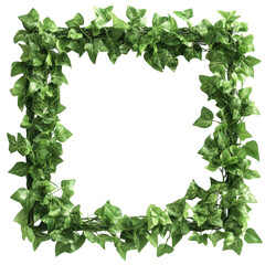 Square Green Leaf Frame