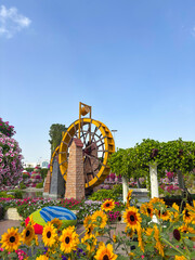 flower park in dubai for background