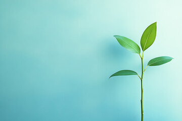 Obraz premium A Simple, Vibrant Plant in a Light Blue Background