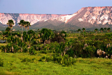 Parque Estadual do Jalapão. Tocantins.