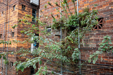 The exterior of a brick apartment building in poor condition, featuring overgrown weeds sprouting...