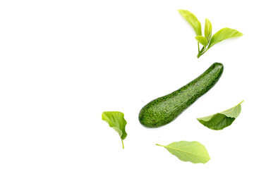Long avocado fruit, Fresh long neck avocado