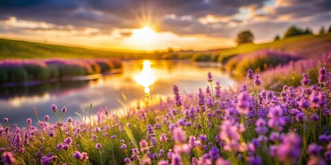 Fototapeta premium Miniature Purple Flower Field & Lake: Idyllic Tilt-Shift Landscape Photography