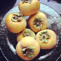 Ripe Fuyu Persimmons on Glass Plate