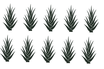 minimal Aloe Vera plant icon silhouette Free
