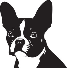 Boston Terrier Silhouette Vector Illustration White Background
