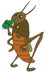 a brown locust stands on its hind legs and frowns discontentedly and holds a green leaf in its paws