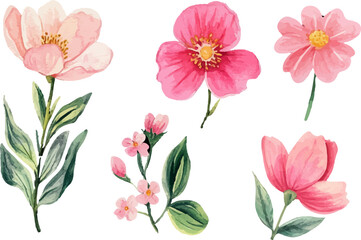 set of pink flowers