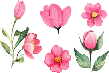 Fototapeta premium bouquet of pink tulips